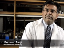 sm-Northeastern-Amiji