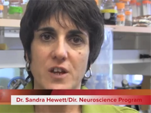 sm-Sandra-Hewett